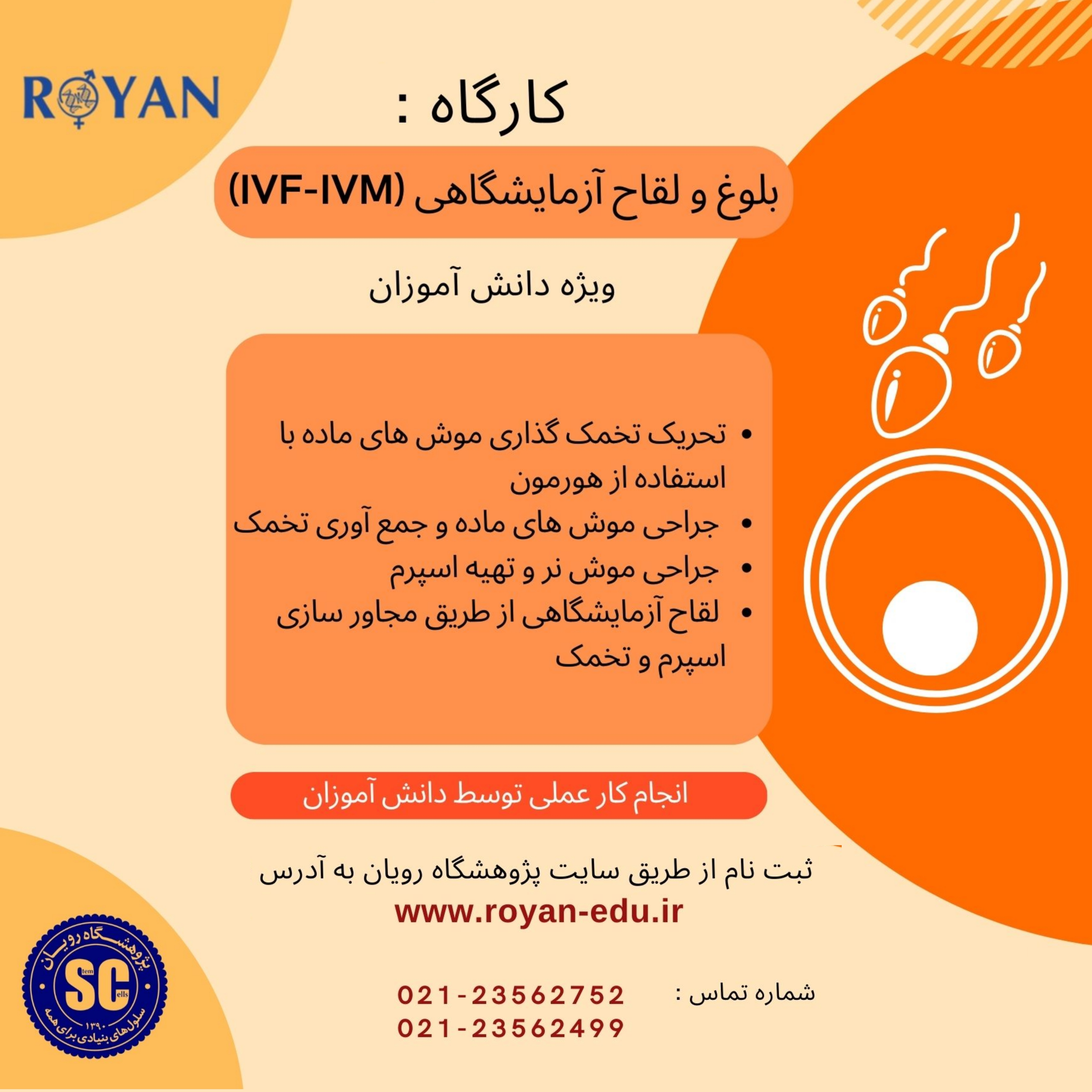 آشنایی با بلوغ و لقاح آزمایشگاهی 